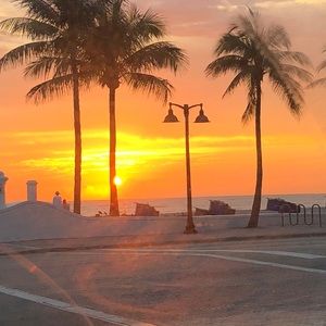 Meet your Posher, Arinna